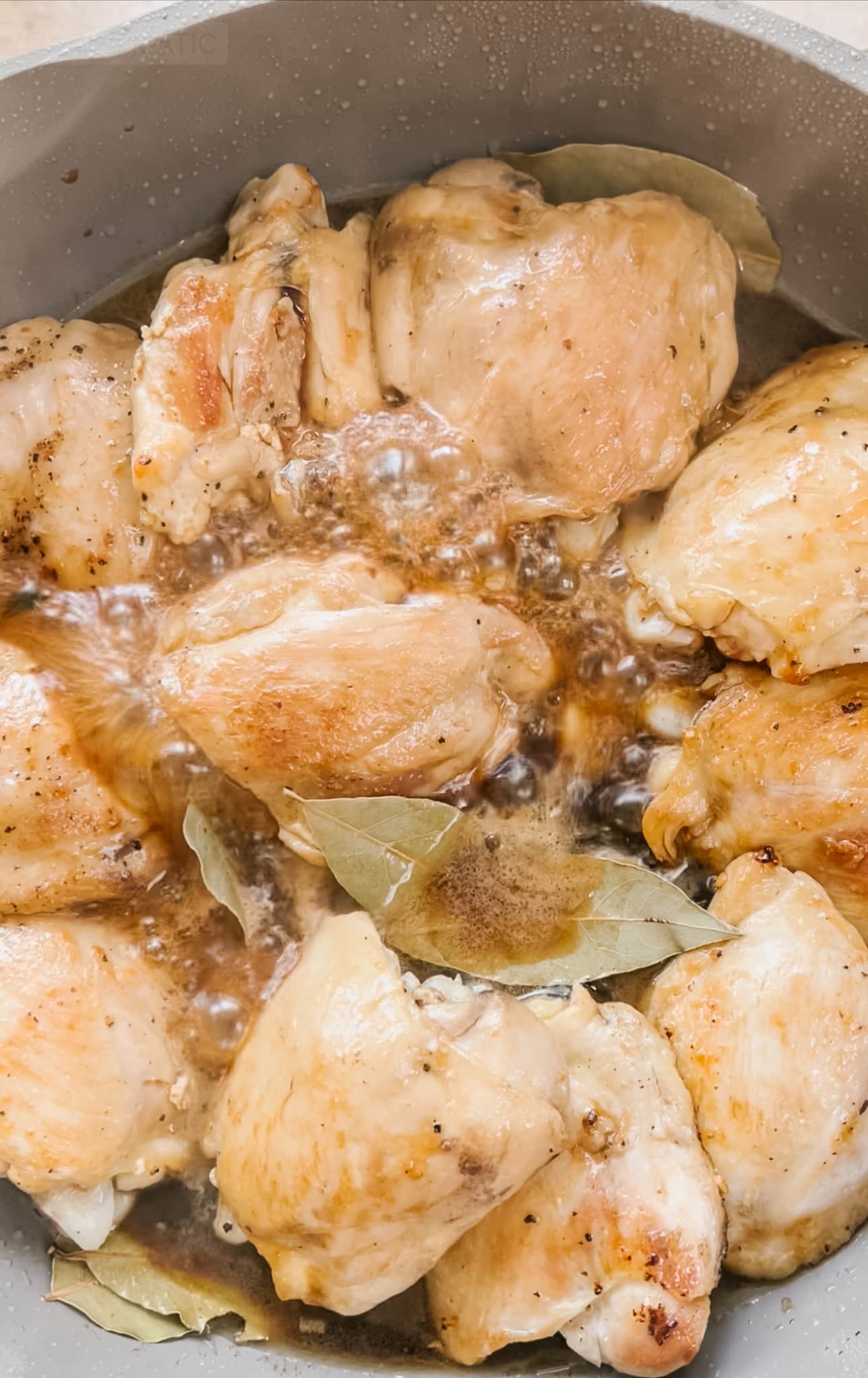 braise the chicken