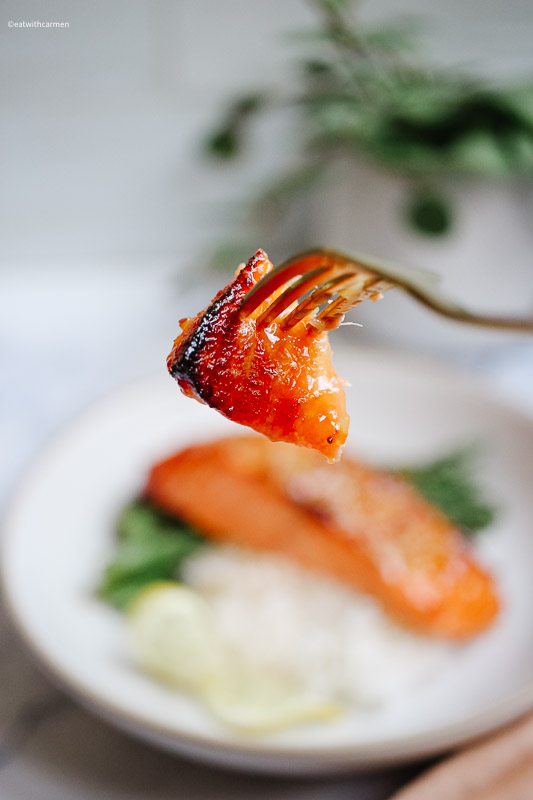 salmon air fryer