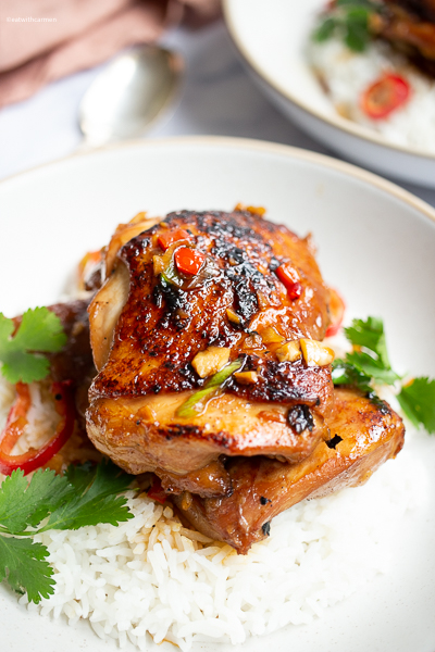 chicken, rice and garnish 