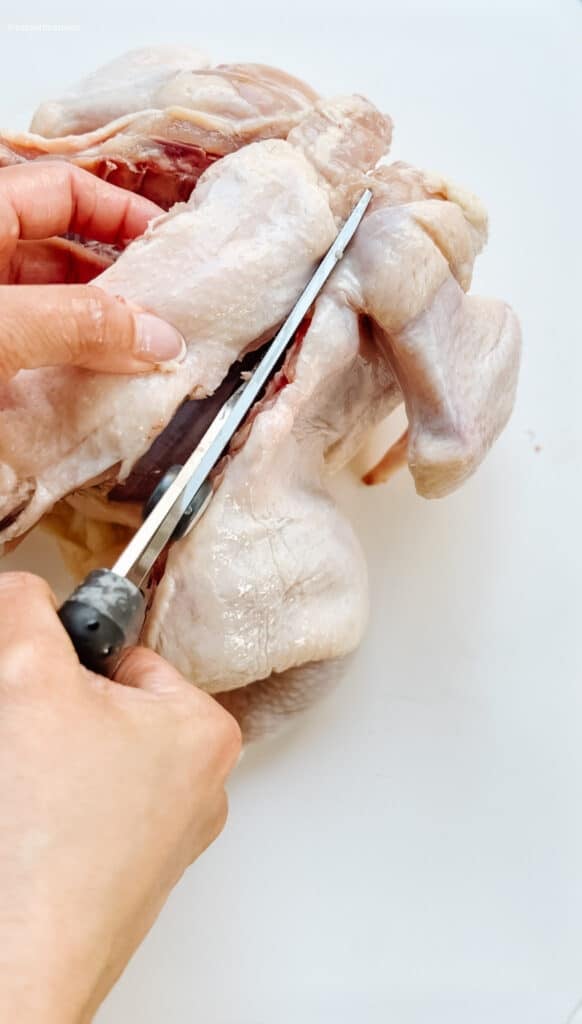 spatchcock chicken air fryer