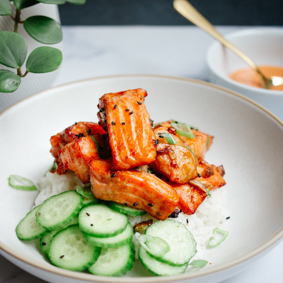 air fryer salmon bites