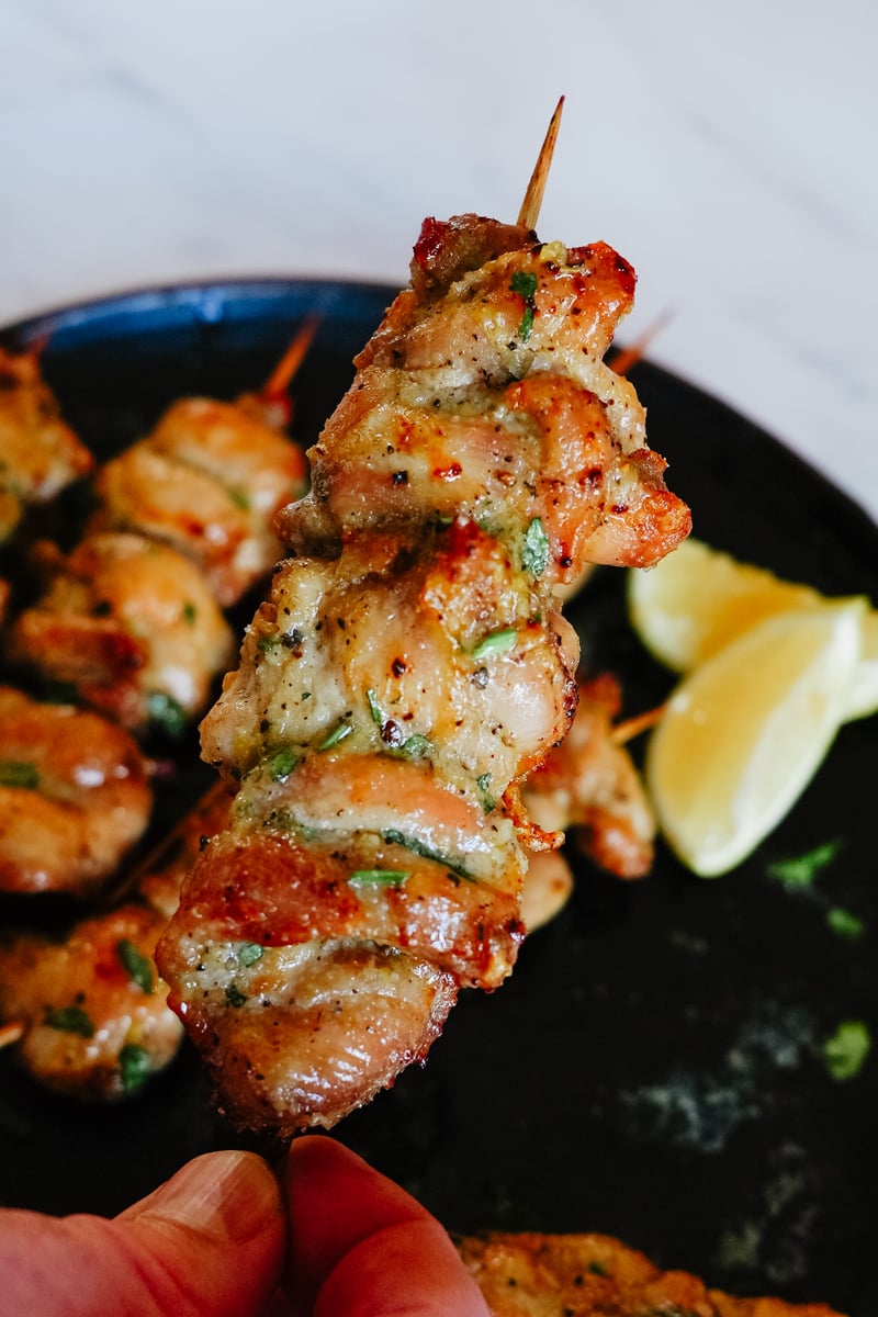 air fryer chicken kabobs
