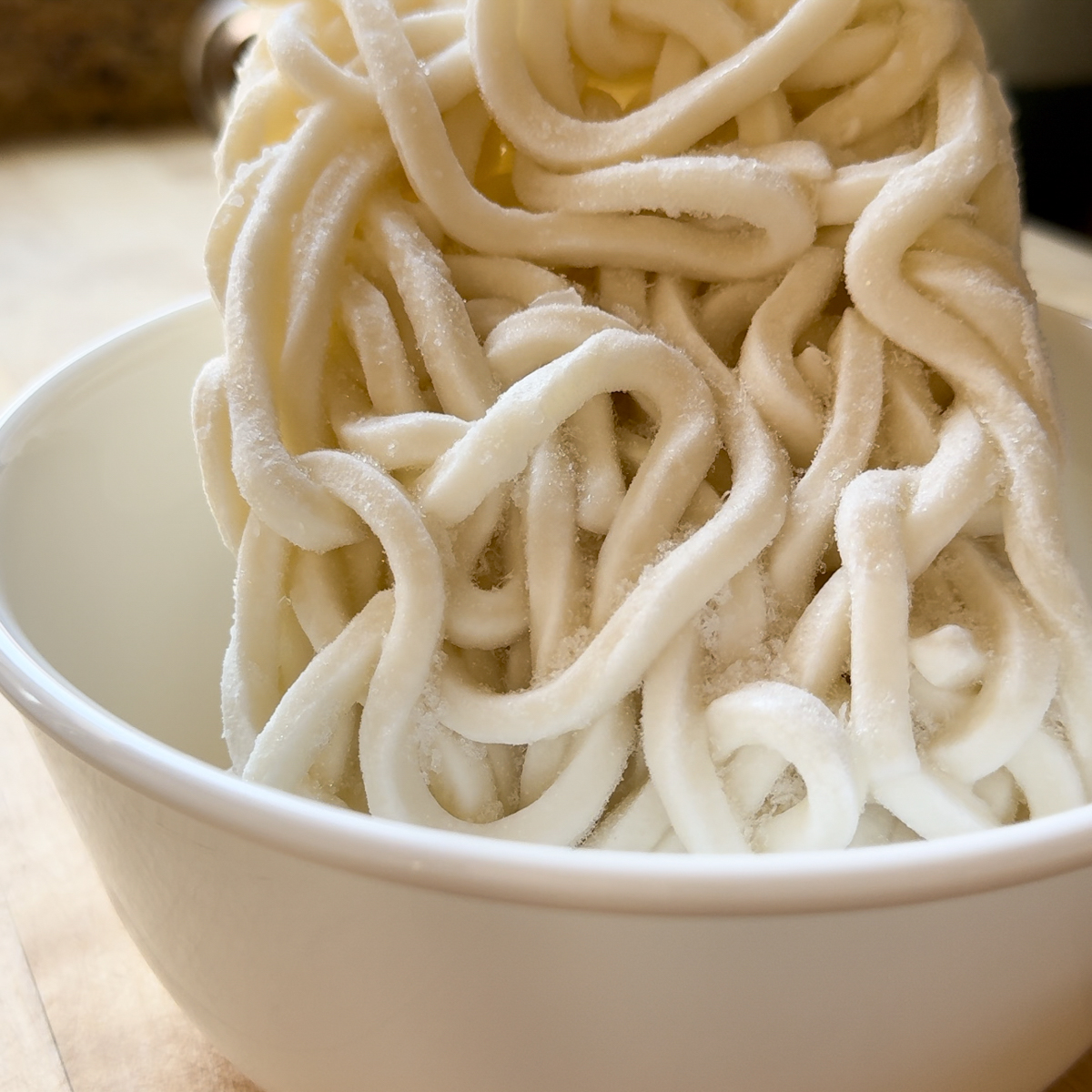 udon noodles