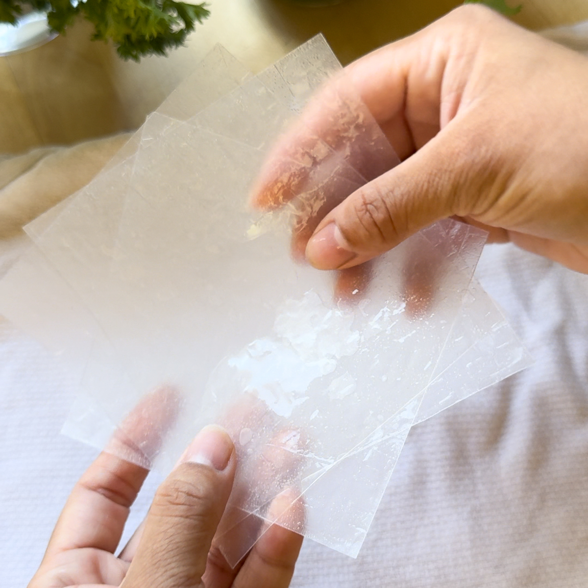 rice paper dumplings