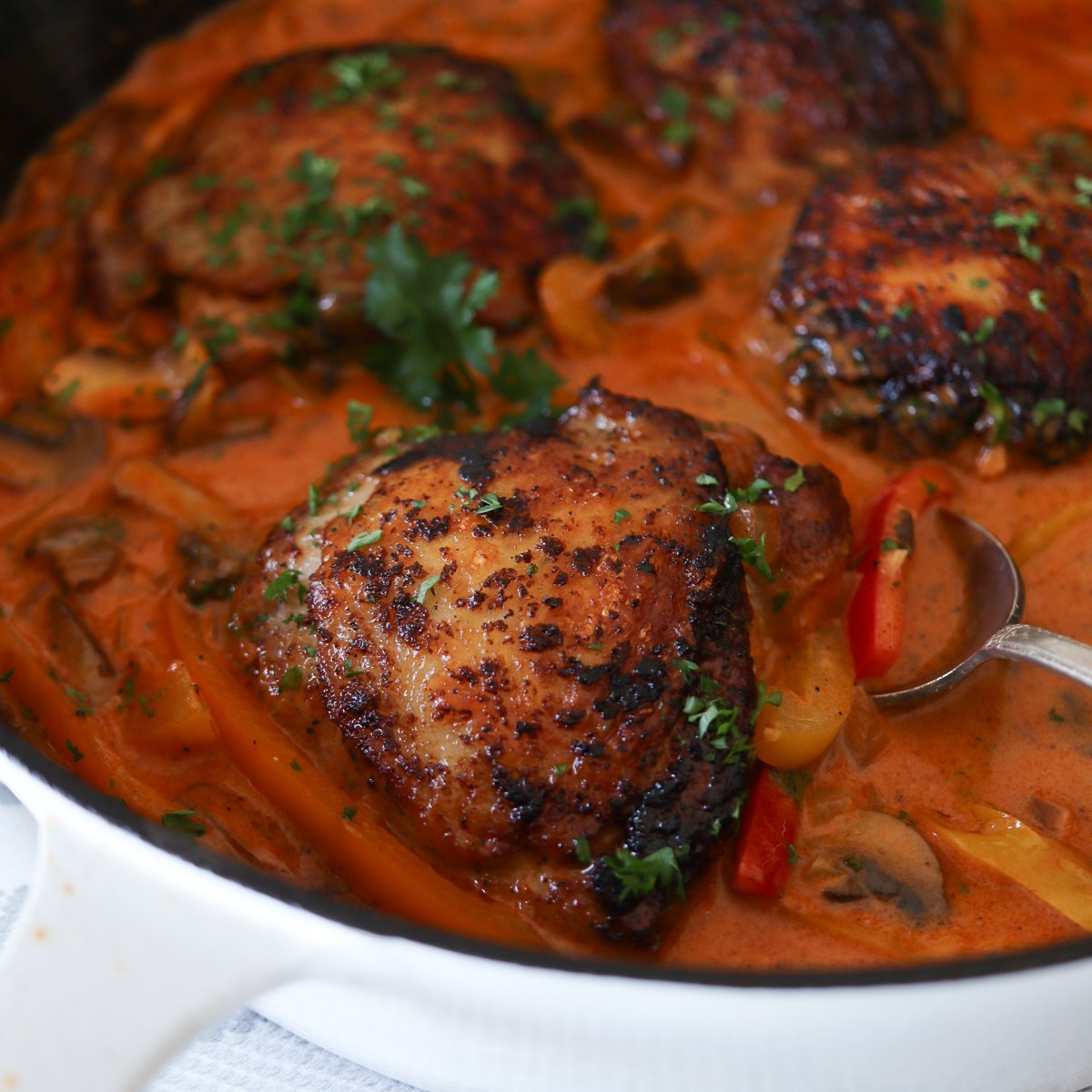 cast iron skillet chicken thighs recipes