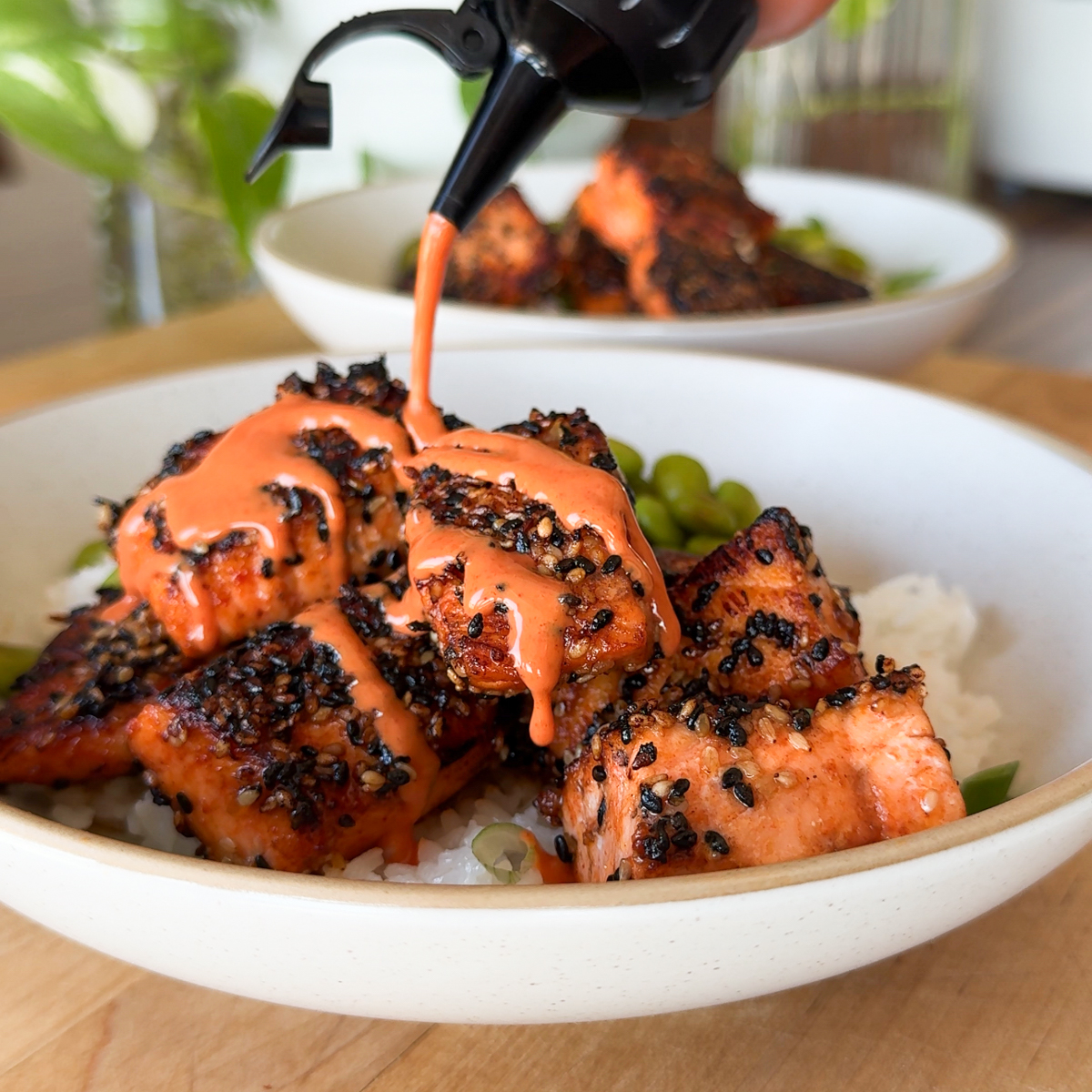 spicy salmon rice