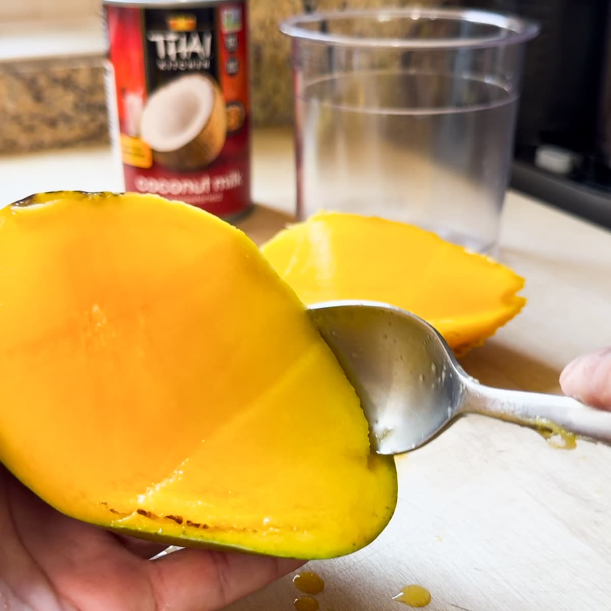 fresh mango sorbet ninja creami