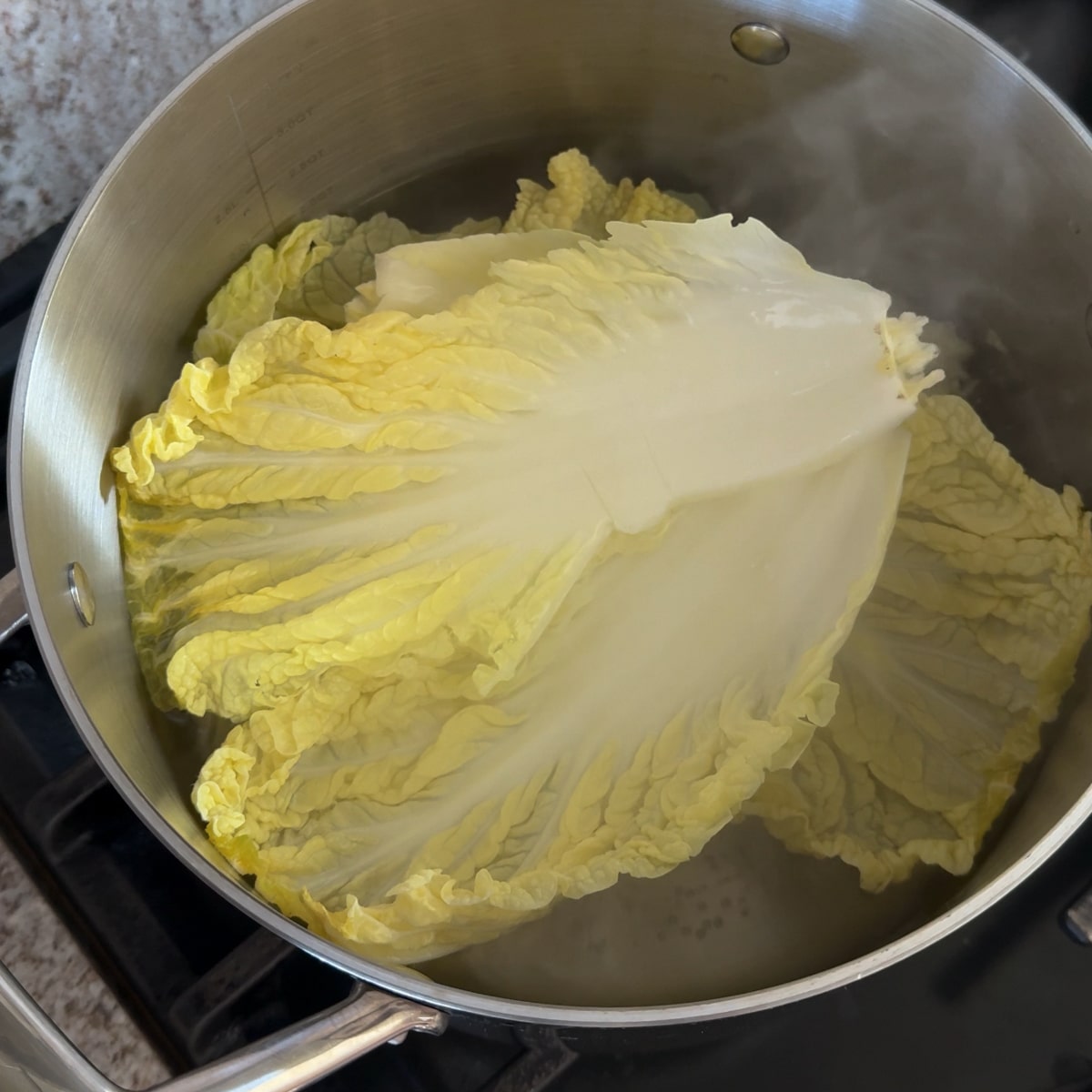blanched cabbage dumplings