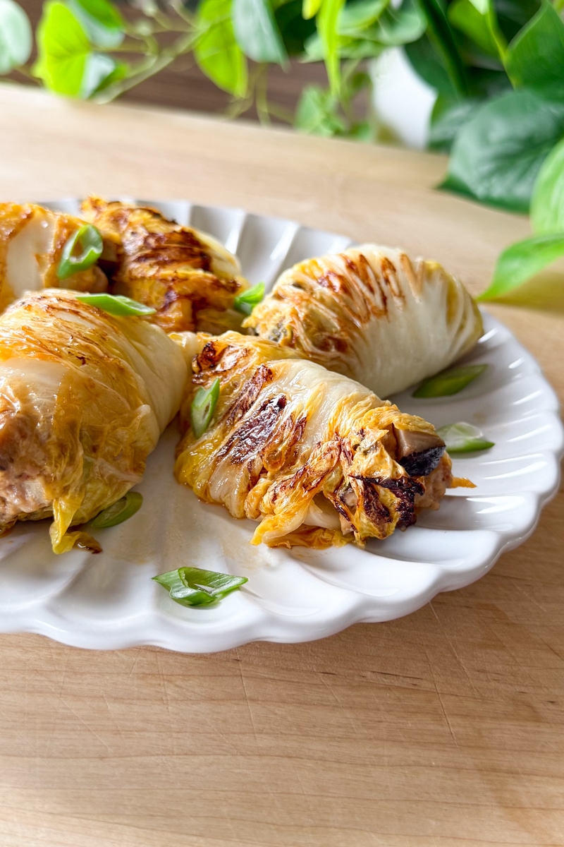 cabbage and dumplings