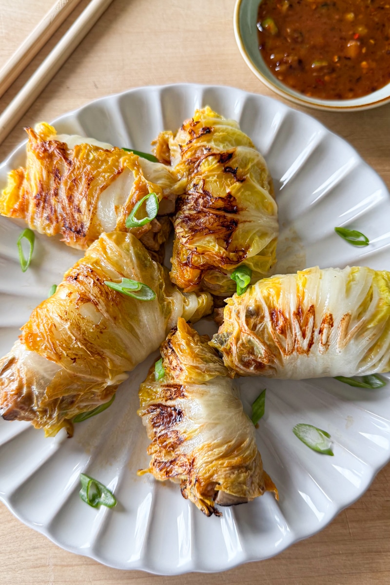 cabbage pork dumplings