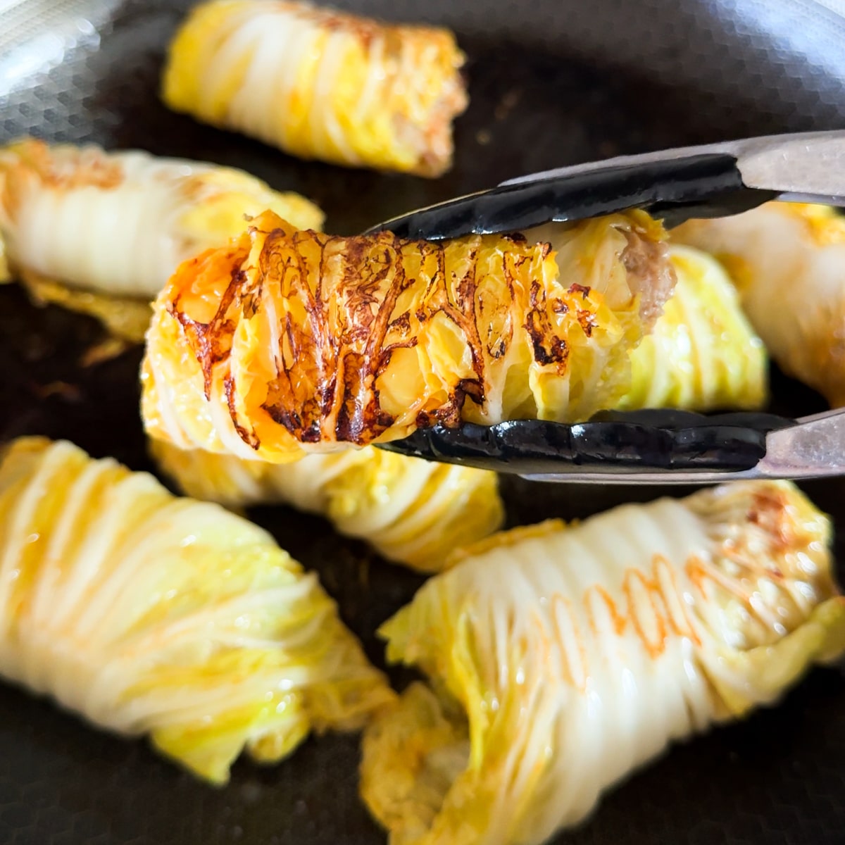 dumplings cabbage pork