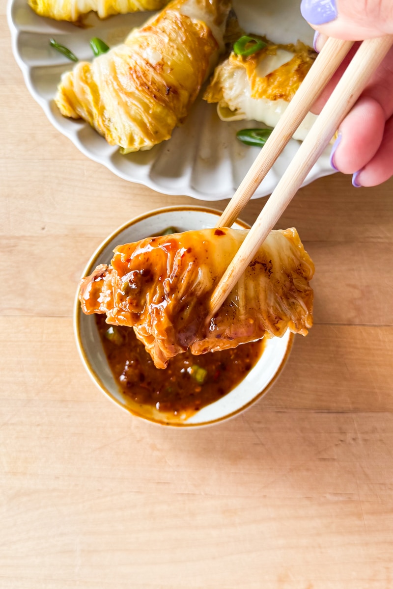 dumplings pork cabbage
