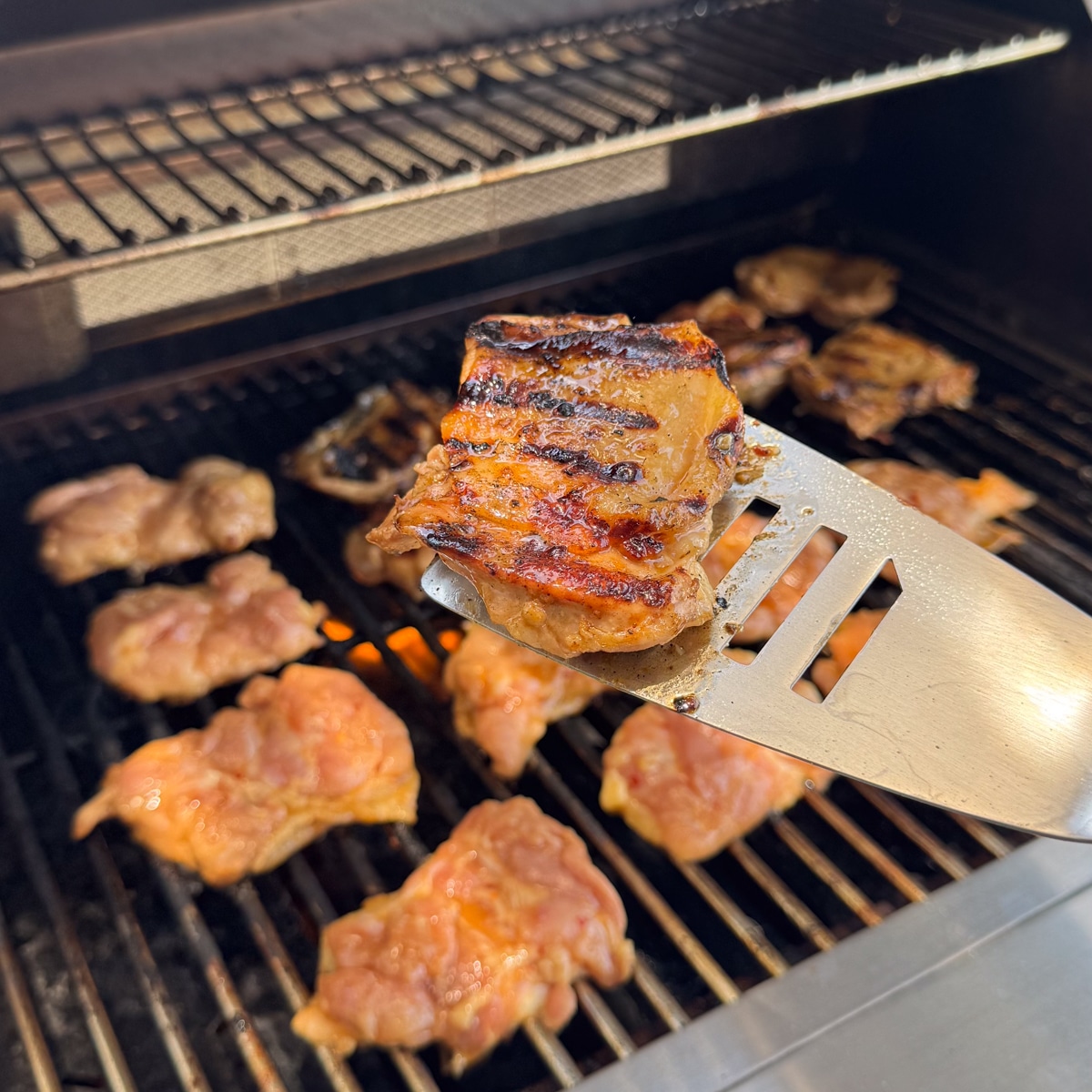 grilled miso chicken recipe