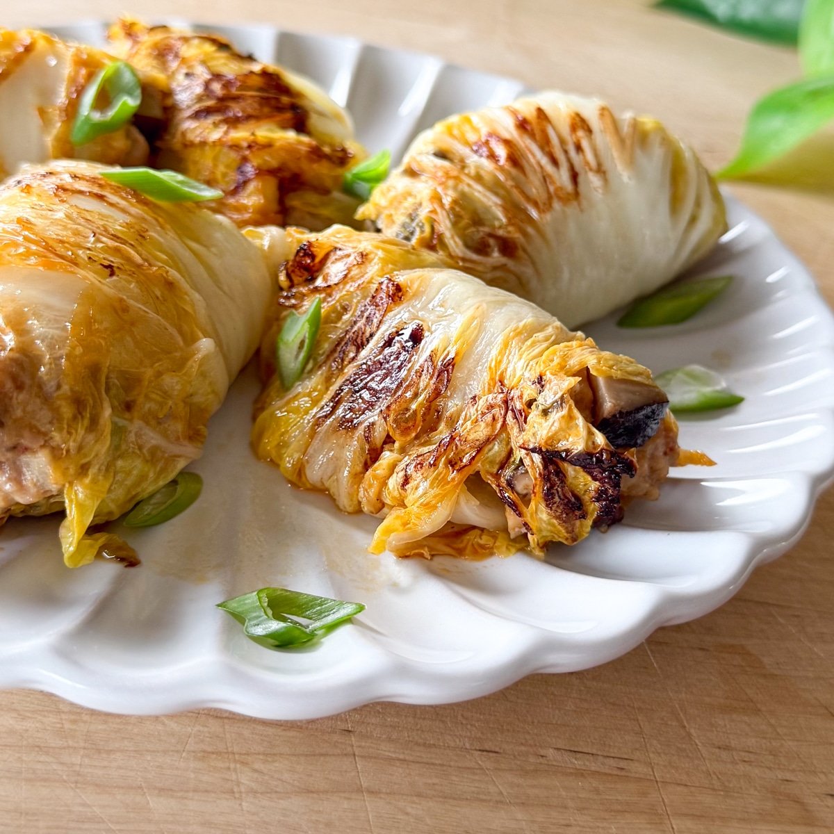 napa cabbage dumplings