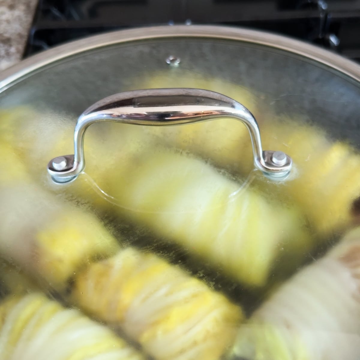napa cabbage pork dumplings