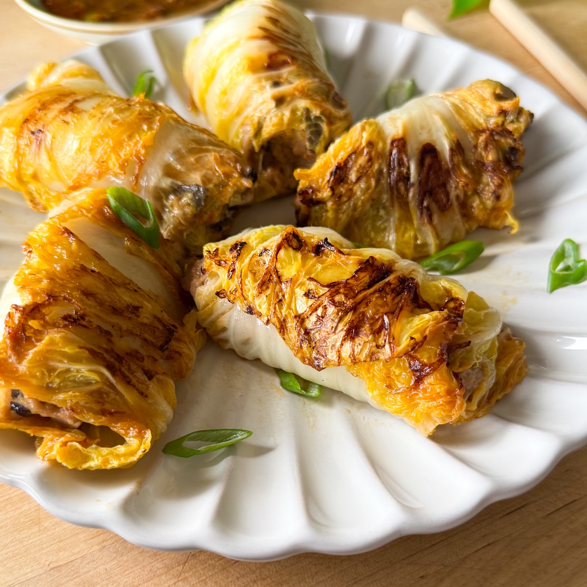 pork and cabbage dumplings